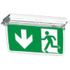 LINERGY SELFIE EXIT